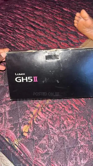 Panasonic Lumix GH5 Mark 2 With 1.4mm Sienna Lens With Wimbil S Gimba