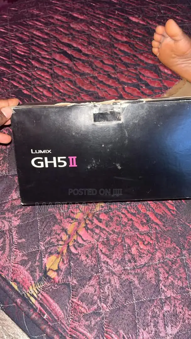 Panasonic Lumix GH5 Mark 2 With 1.4mm Sienna Lens With Wimbil S Gimba