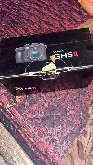 Panasonic Lumix GH5 Mark 2 With 1.4mm Sienna Lens With Wimbil S Gimba