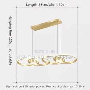 Minimal Ring Pendant Light