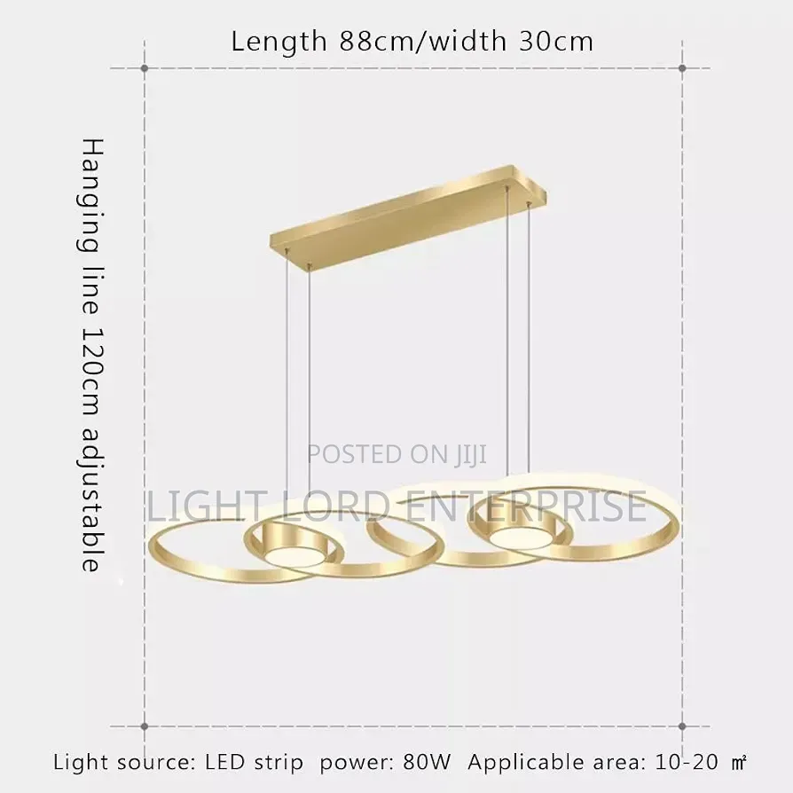 Minimal Ring Pendant Light