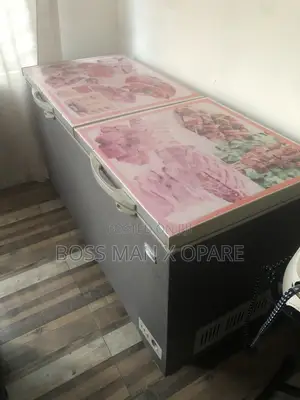 Double Freezer