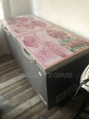 Double Freezer