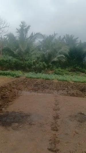 3 Plots for Sale at Airport Residential Area