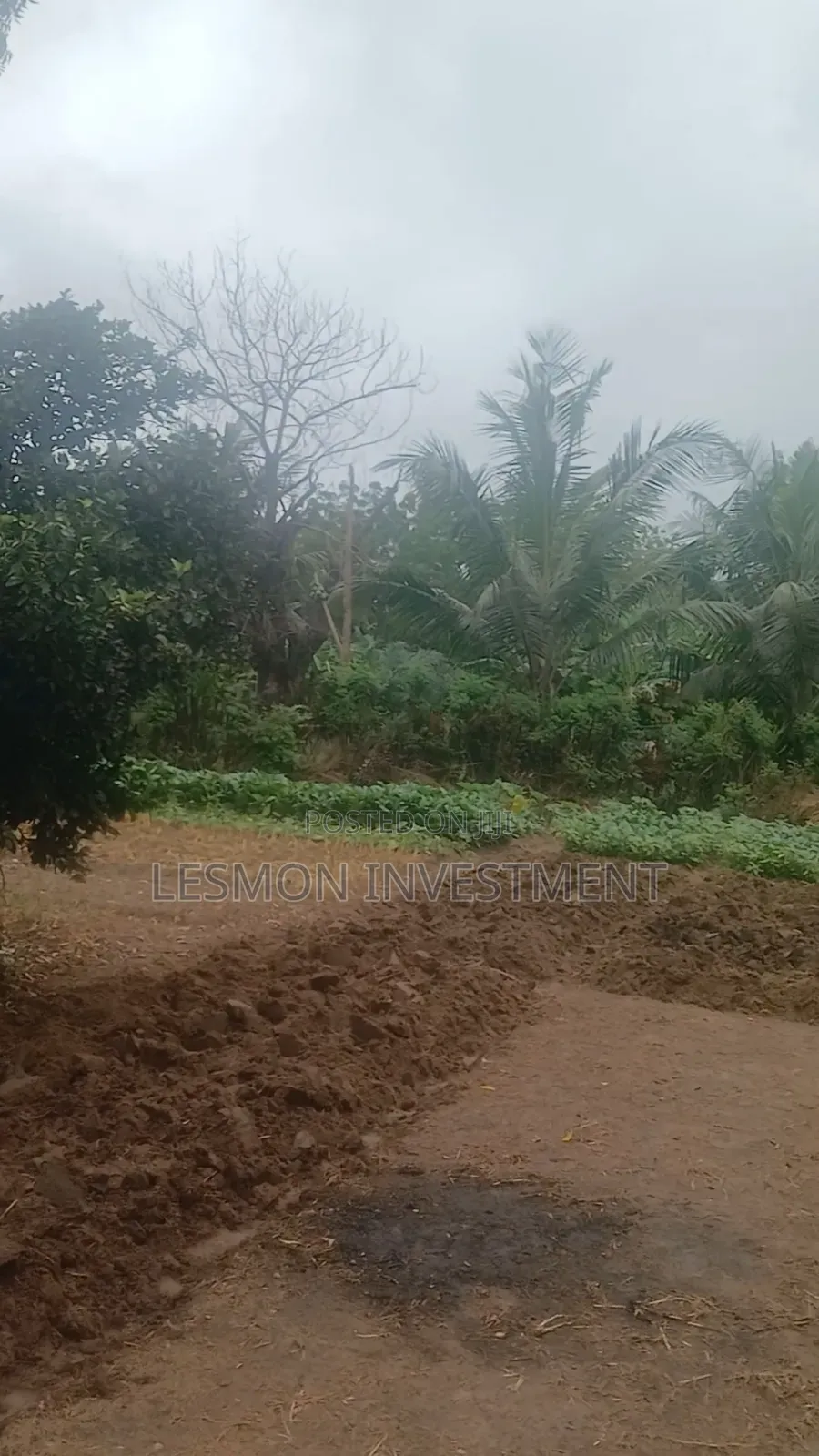 3 Plots for Sale at Airport Residential Area