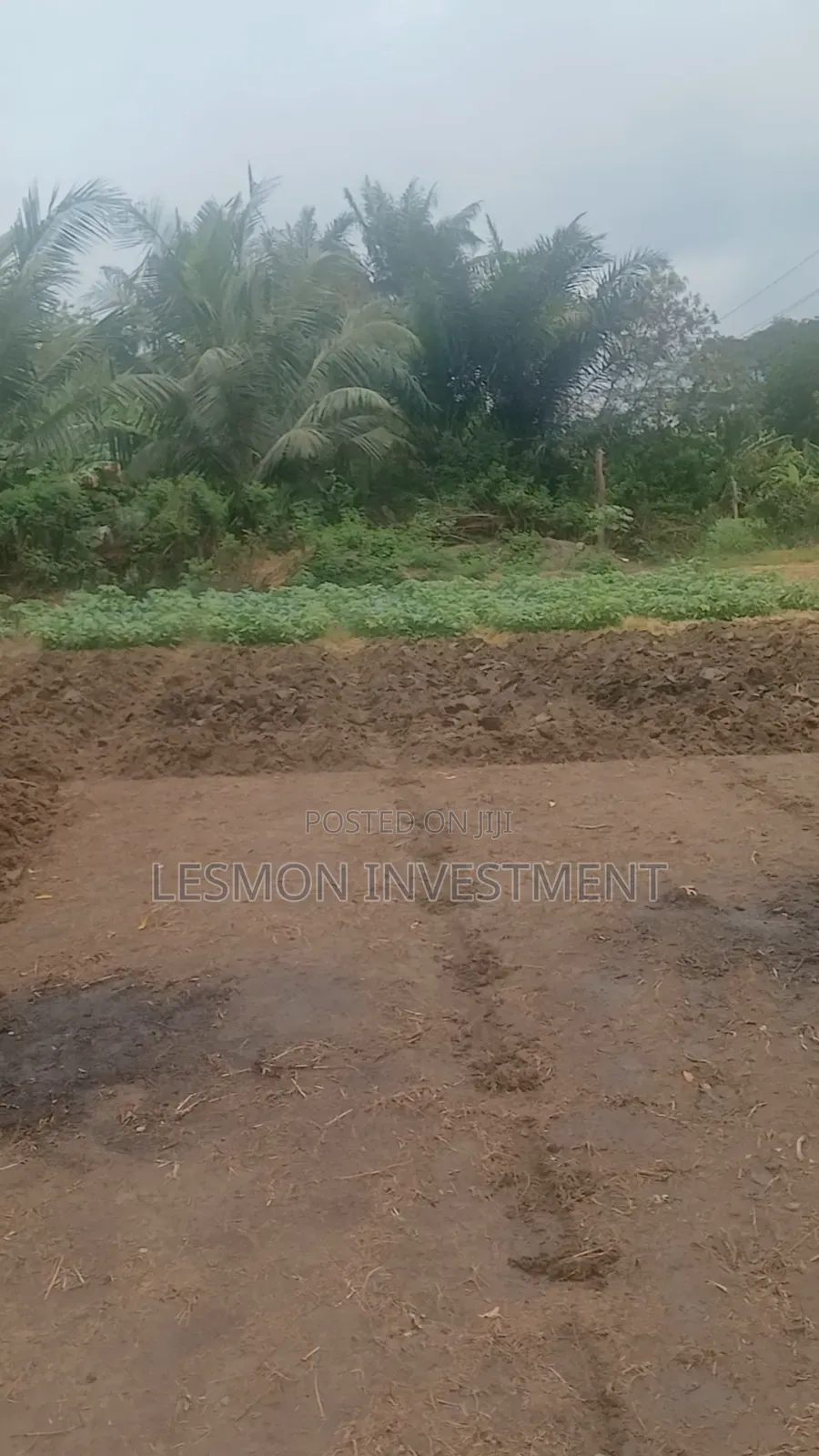 3 Plots for Sale at Airport Residential Area