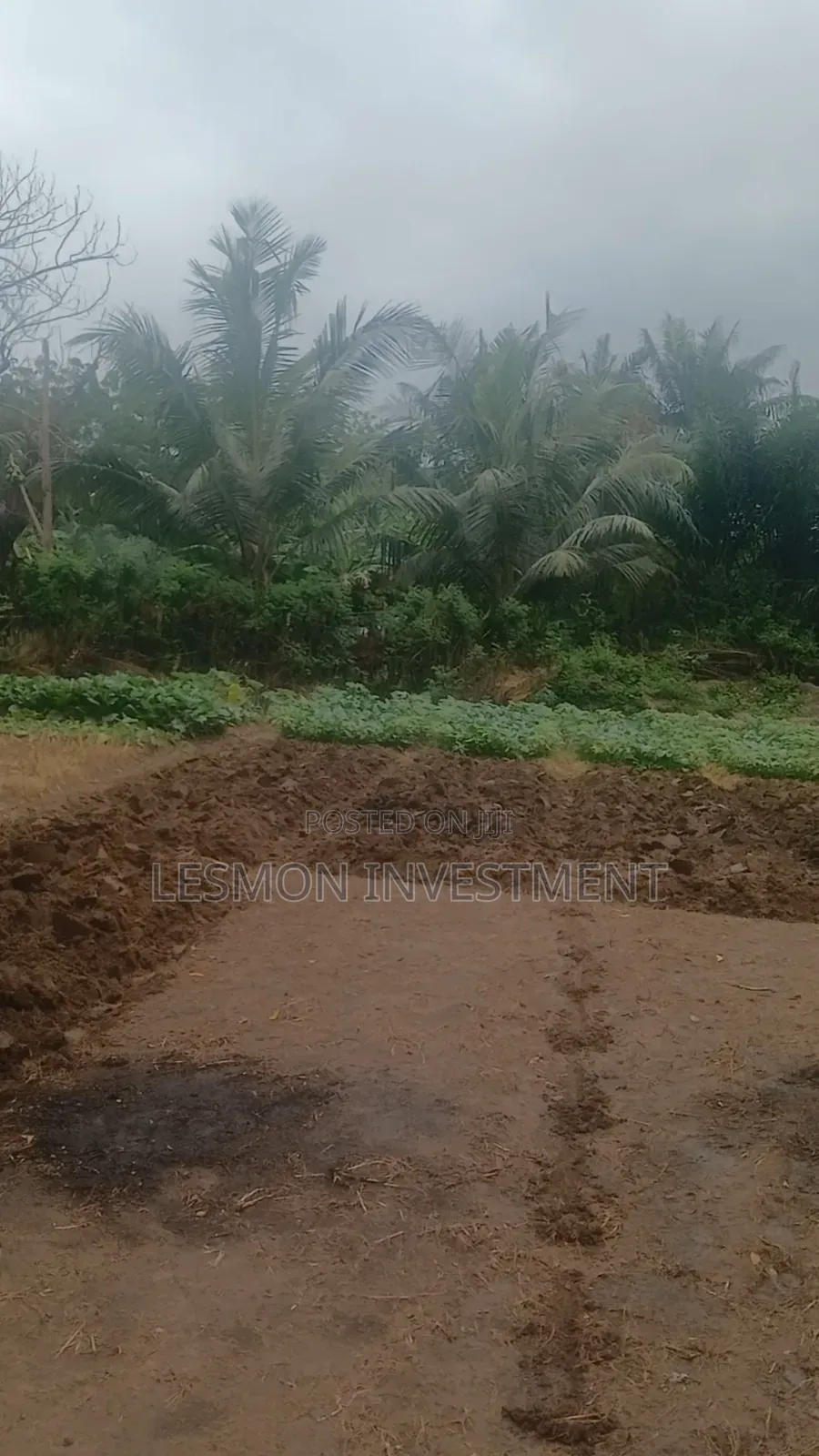 3 Plots for Sale at Airport Residential Area