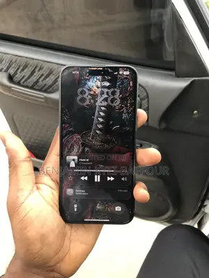 Apple iPhone 15 Pro Max 256 GB Black