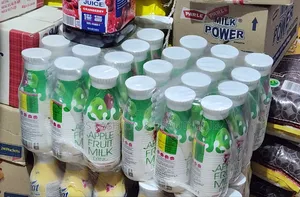 Apple Fruit Milk 12 in Pack