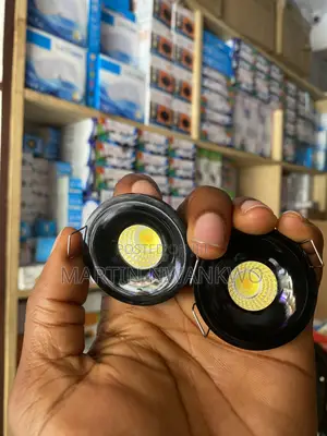 3 Watts Spotlight