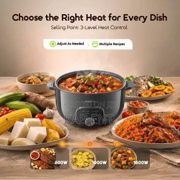 Oraimo Multipot S1 Lite – Multi-Functional Electric Hotpot