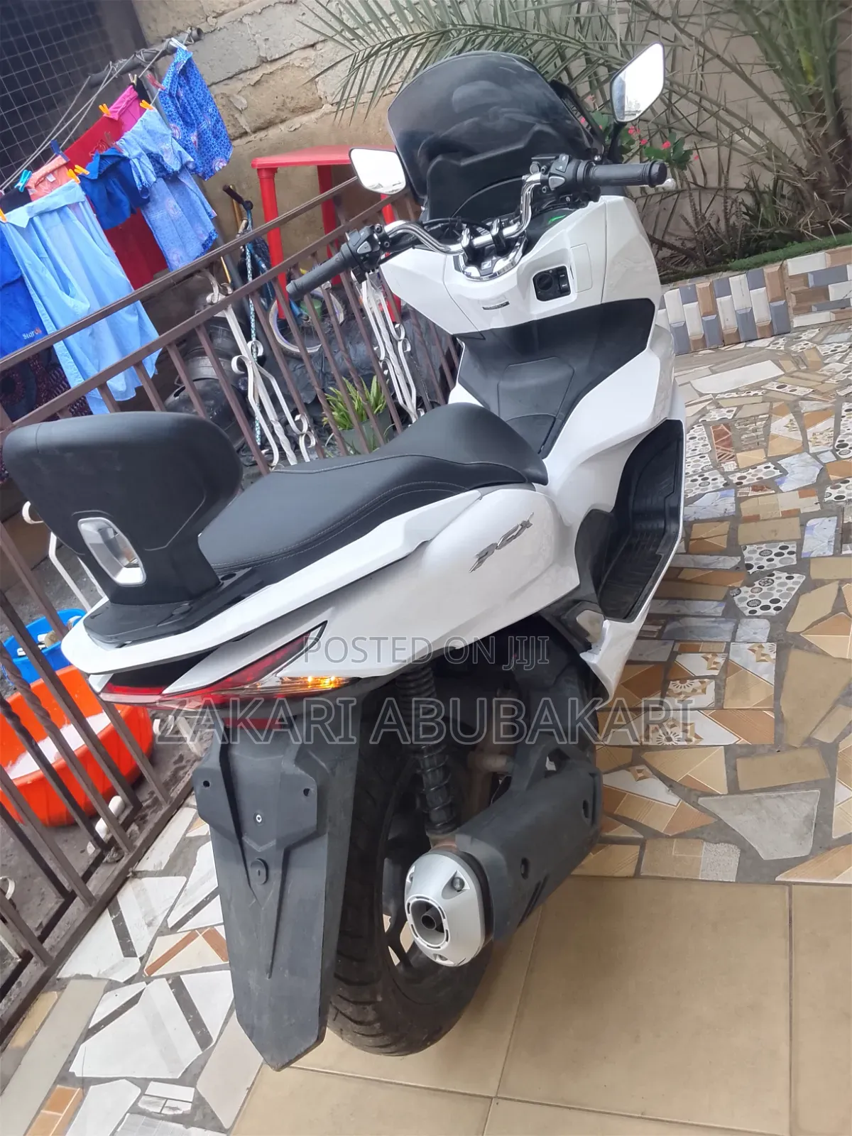 Honda 2024 White