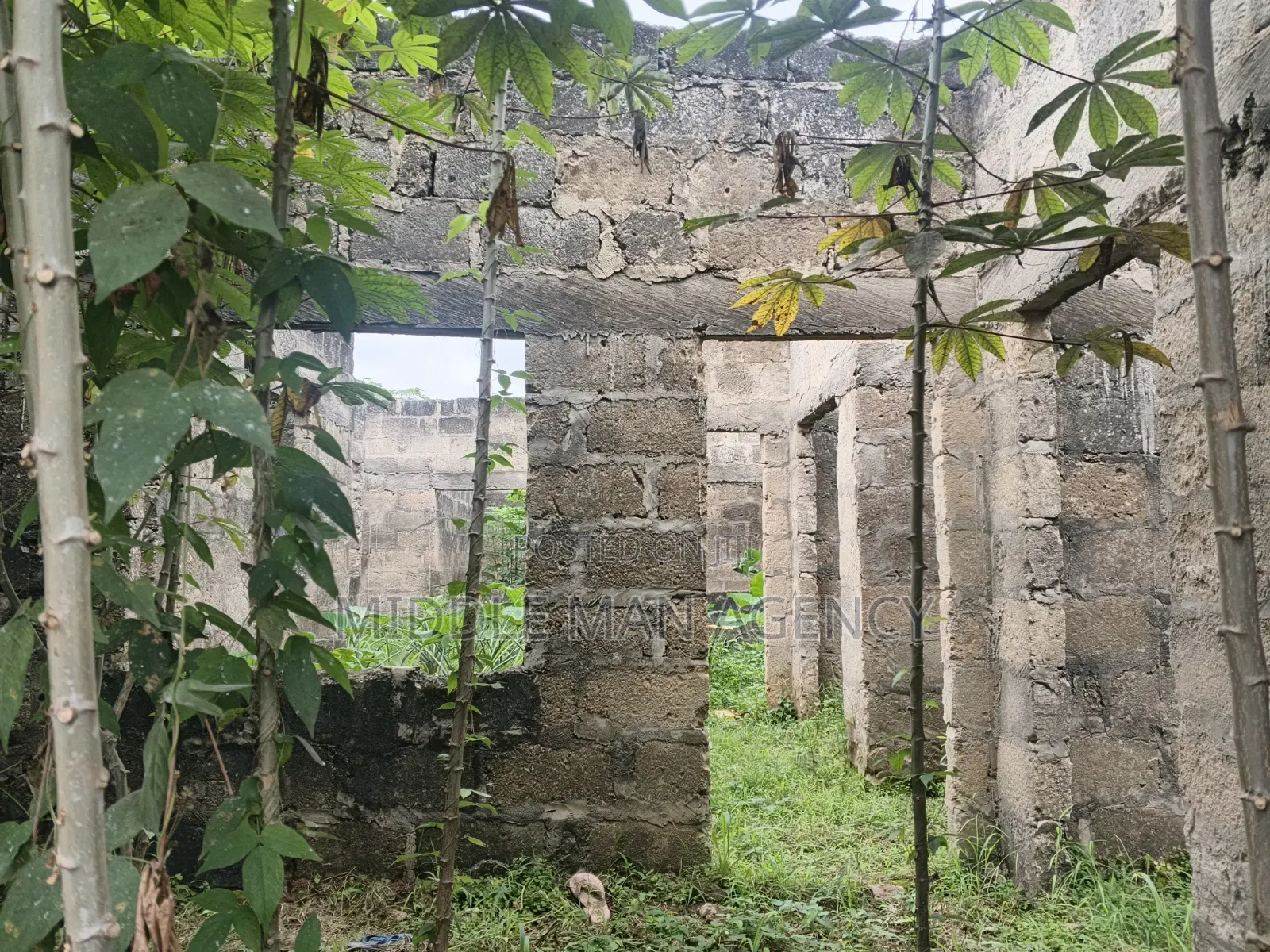12bdrm House in Ejisu-Juaben Municipal for sale