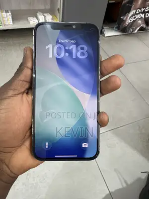 Apple iPhone 12 Pro 128 GB Gray