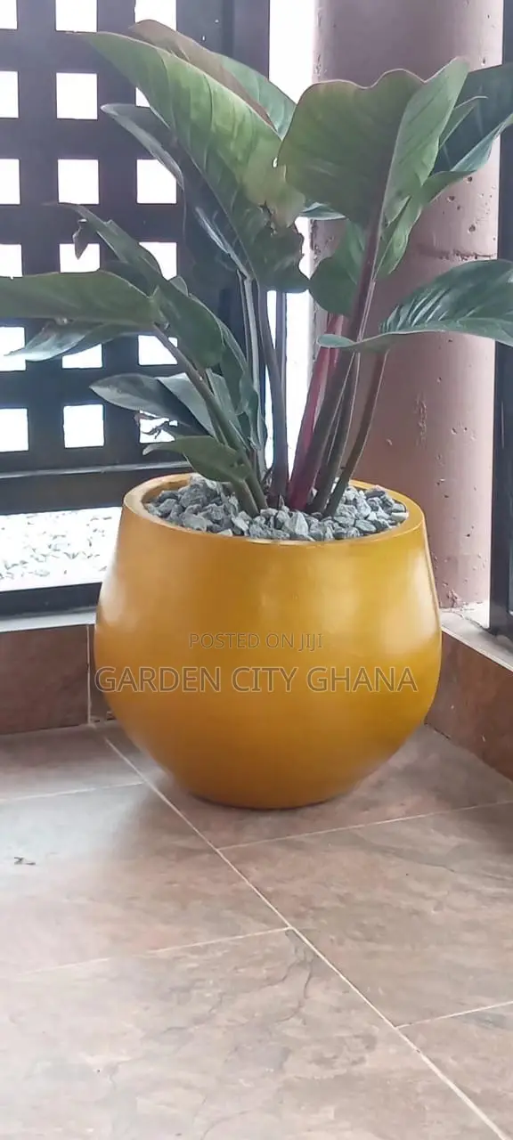 GreenCity Garden