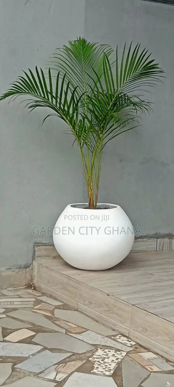 GreenCity Garden
