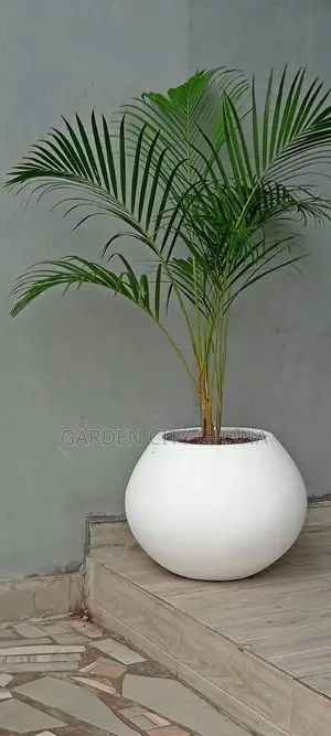 GreenCity Garden