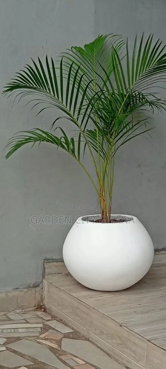 GreenCity Garden