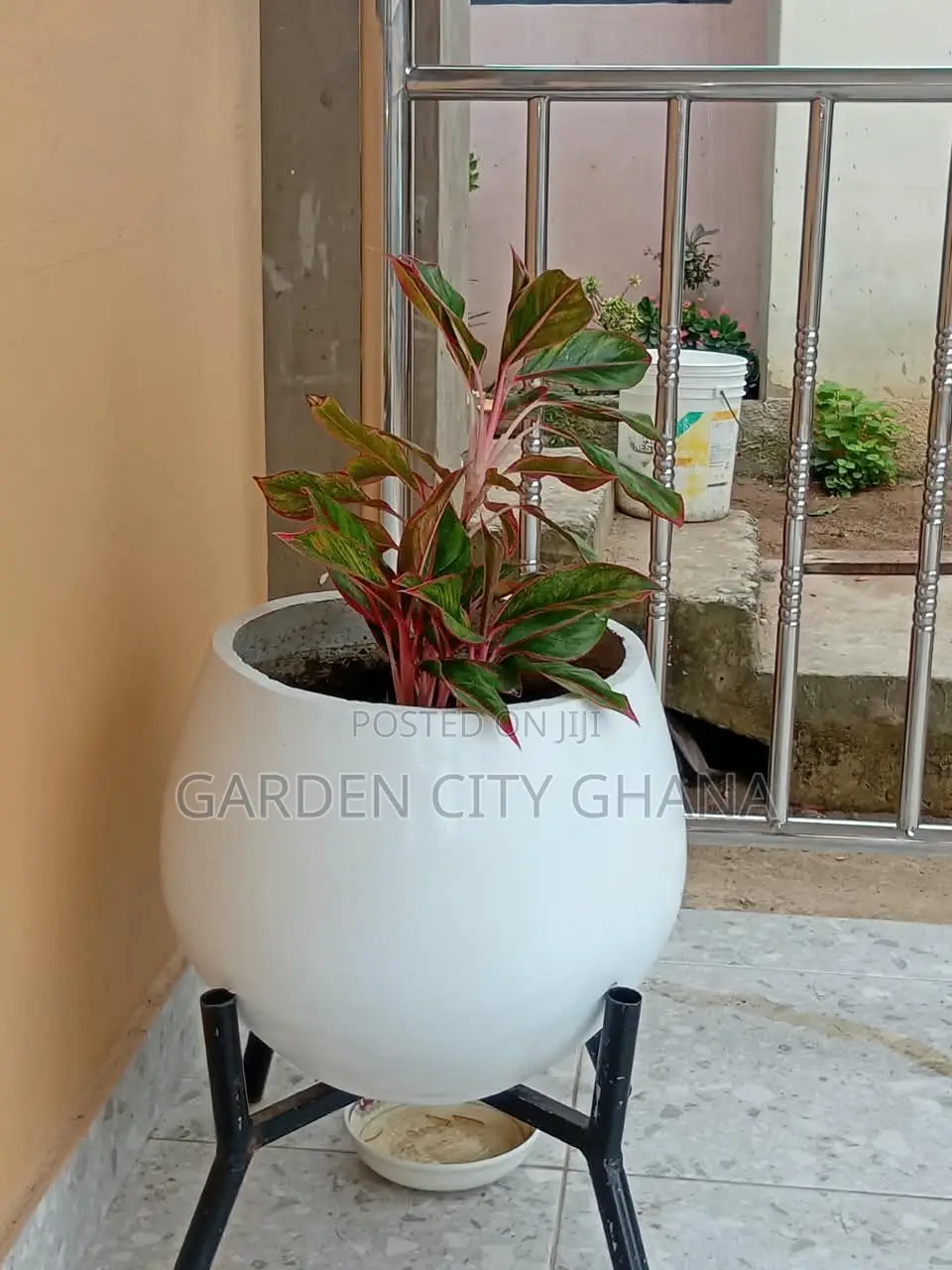 GreenCity Garden