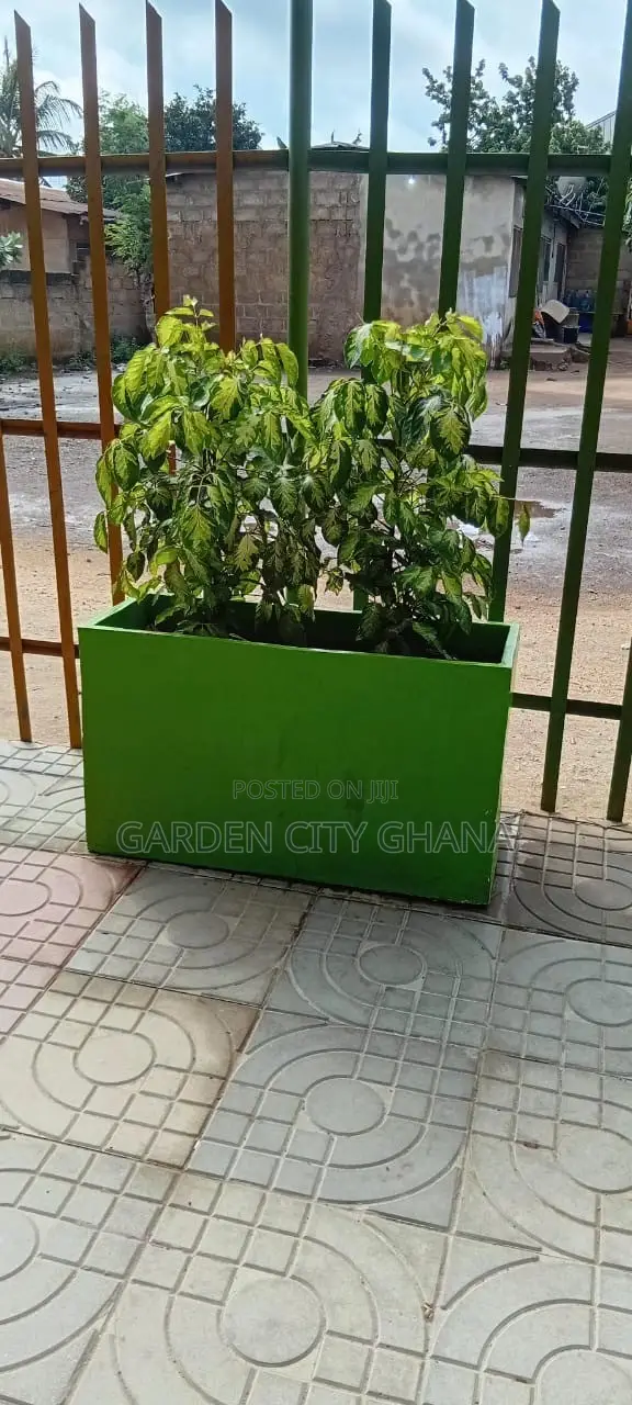 GreenCity Garden