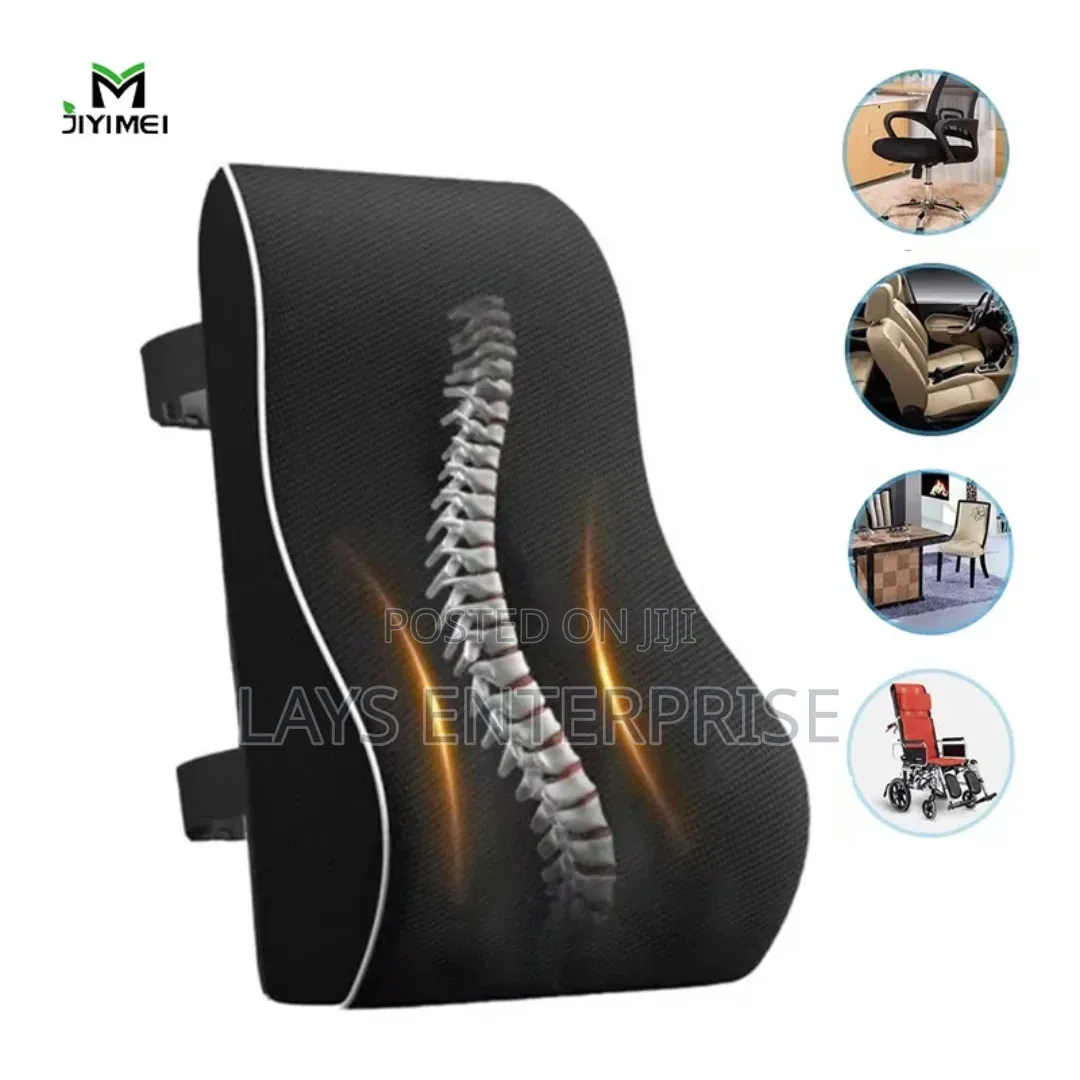 Lumbar or Back Support