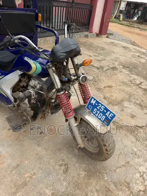 Tricycle 2025 Blue