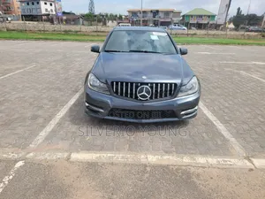 Mercedes-Benz C250 2013 Gray