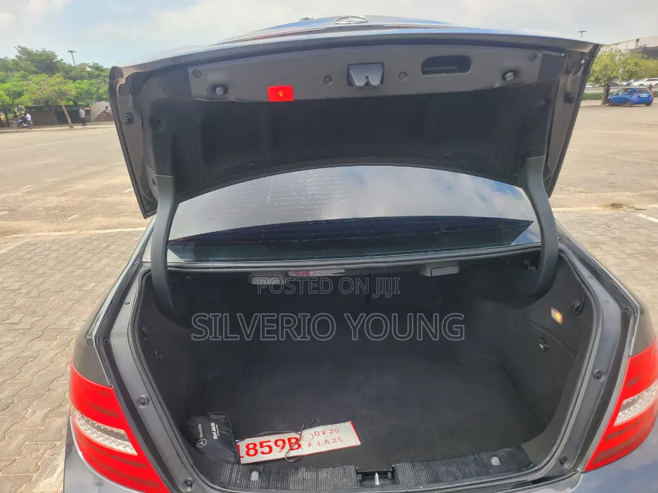 Mercedes-Benz C250 2013 Gray