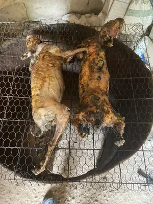 Rabbit Meat Smoked Fresh