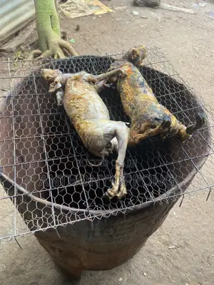 Rabbit Meat Smoked Fresh