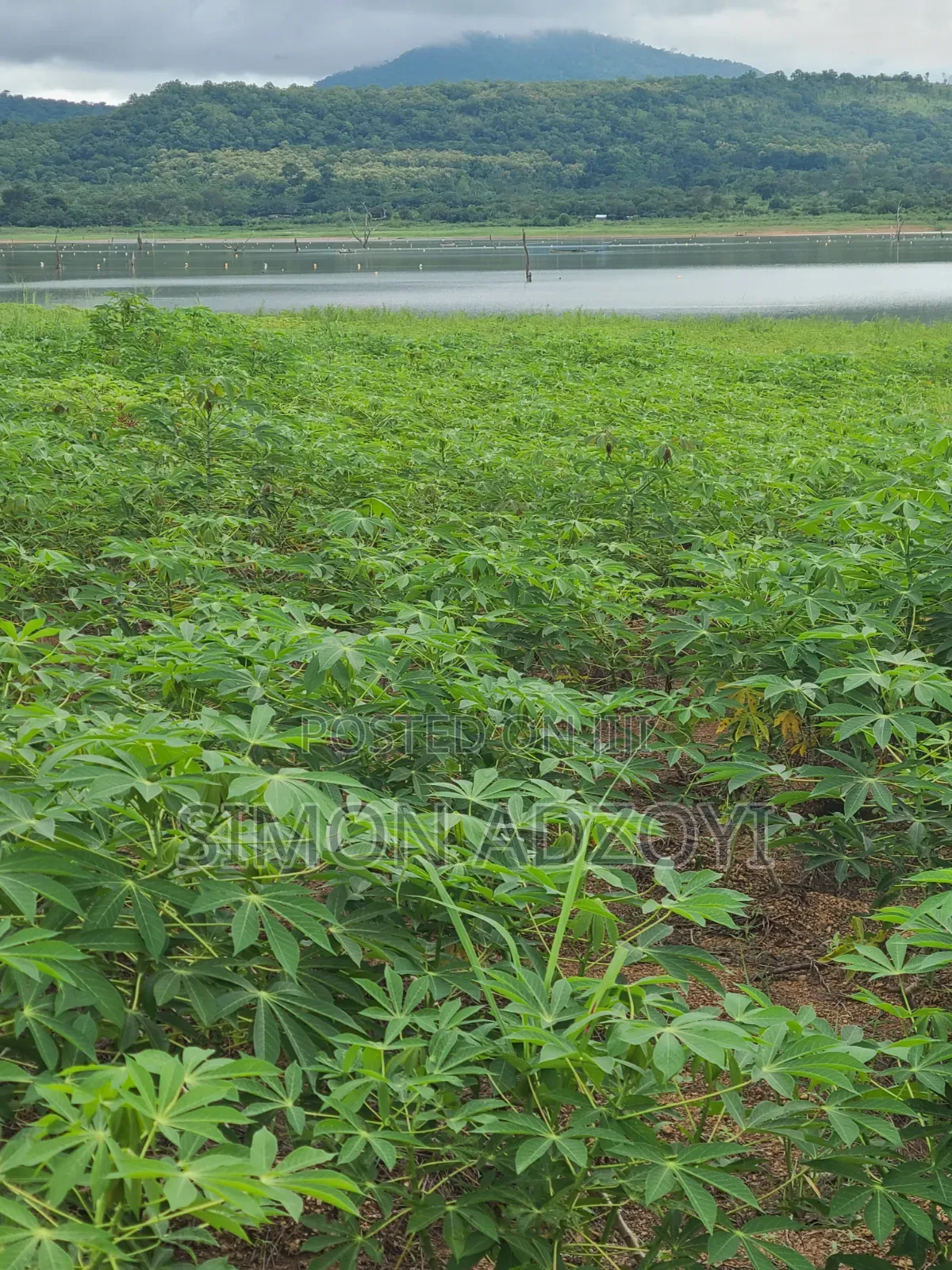 Registered 30,000 Acres of Farme Land Close to Water