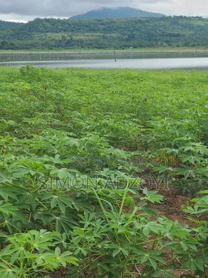 Registered 30,000 Acres of Farme Land Close to Water