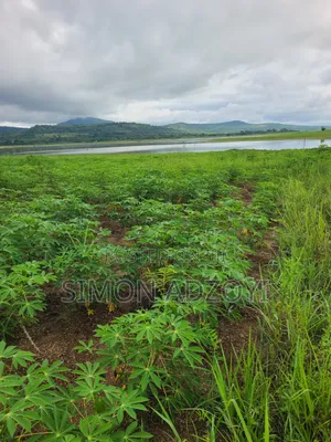 Registered 30,000 Acres of Farme Land Close to Water