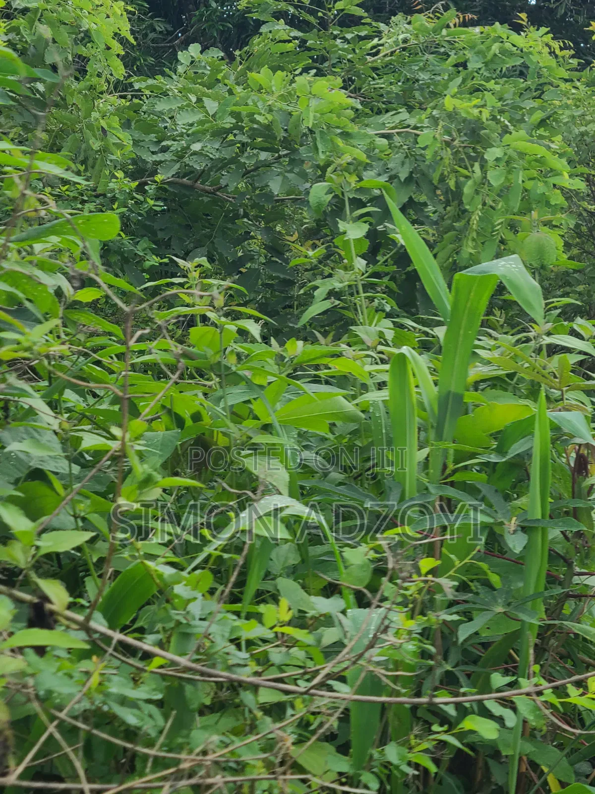 Registered 30,000 Acres of Farme Land Close to Water