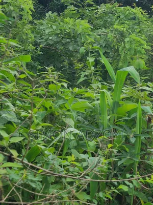 Registered 30,000 Acres of Farme Land Close to Water