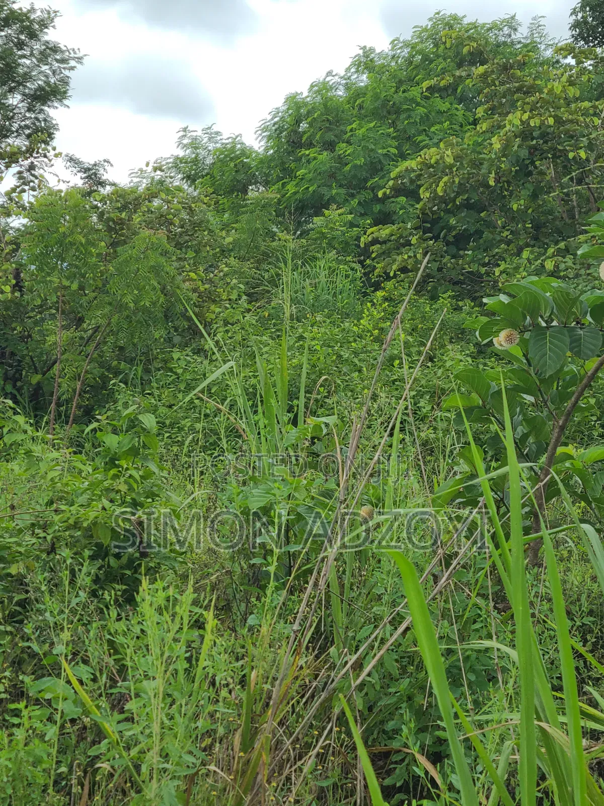Registered 30,000 Acres of Farme Land Close to Water