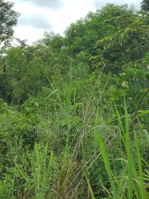 Registered 30,000 Acres of Farme Land Close to Water