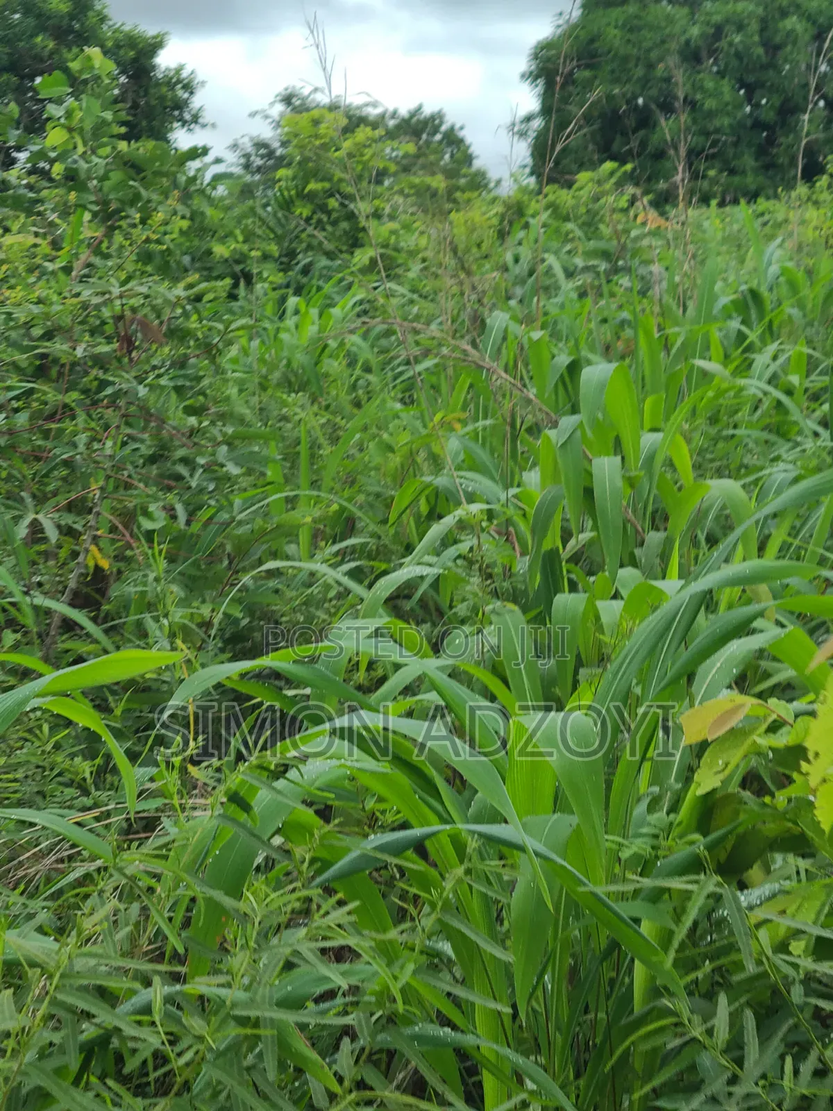 Registered 30,000 Acres of Farme Land Close to Water