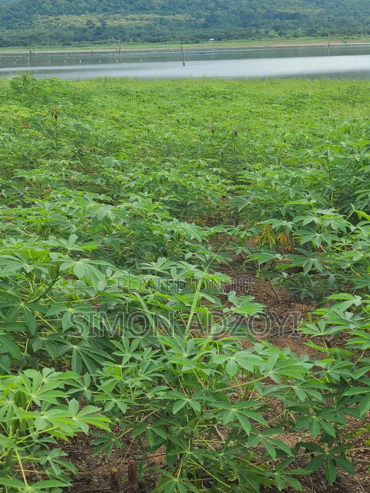 Registered 30,000 Acres of Farme Land Close to Water