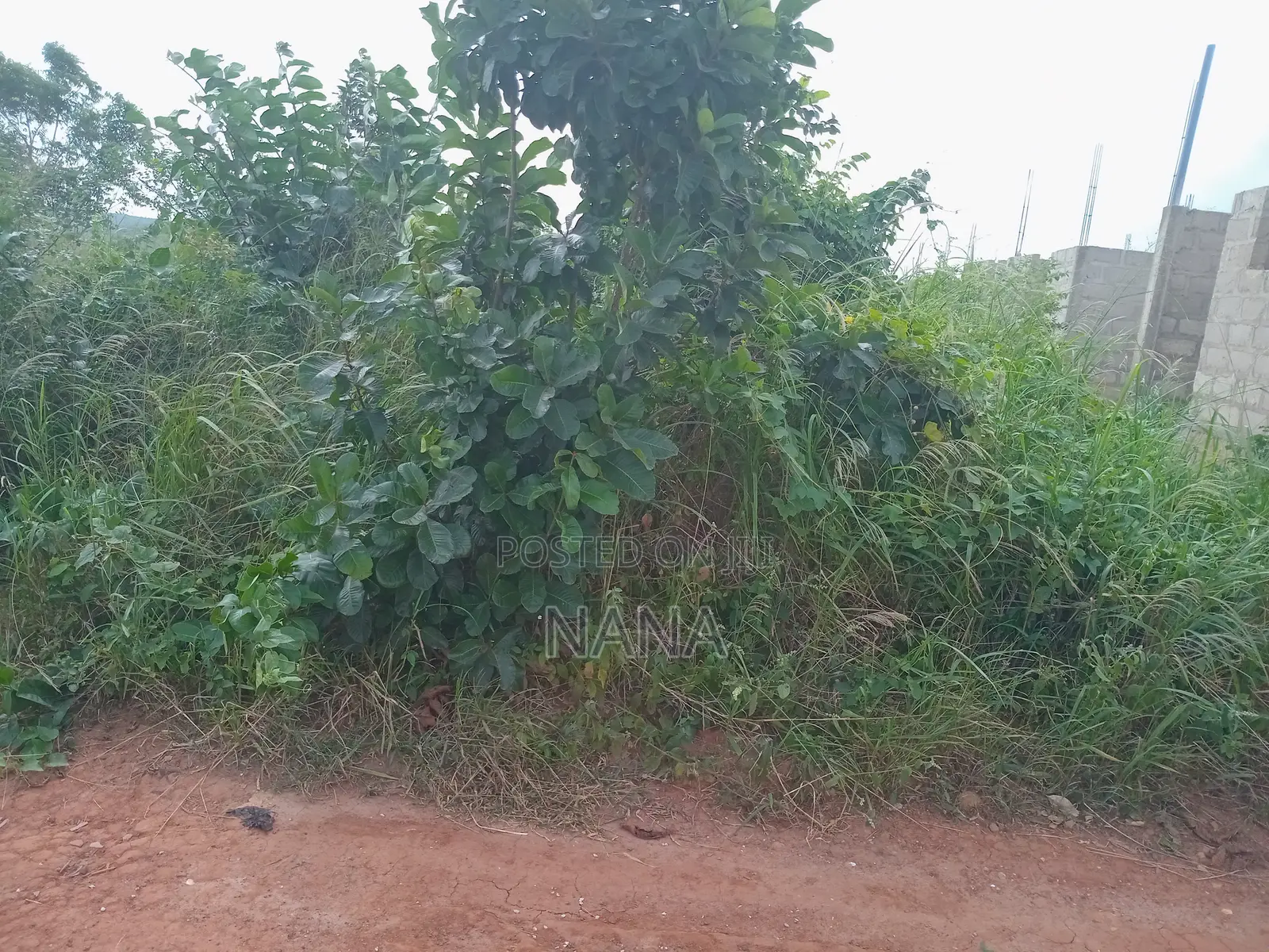3Plots of Documented Land 4sale at Oguaakrom Near Lucky Herbal
