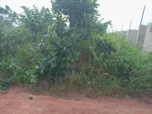3Plots of Documented Land 4sale at Oguaakrom Near Lucky Herbal