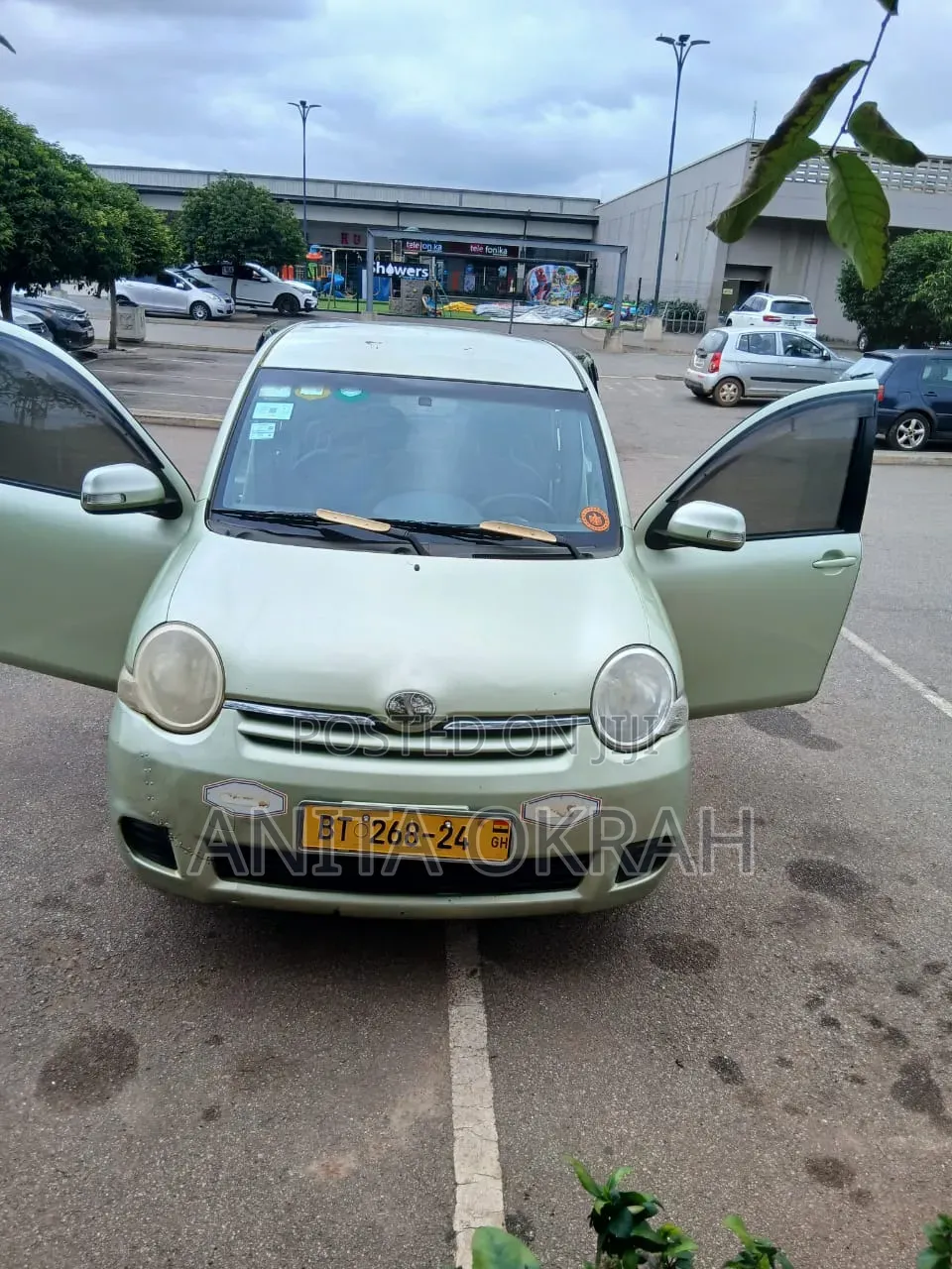 Toyota Sienta 2010 Green