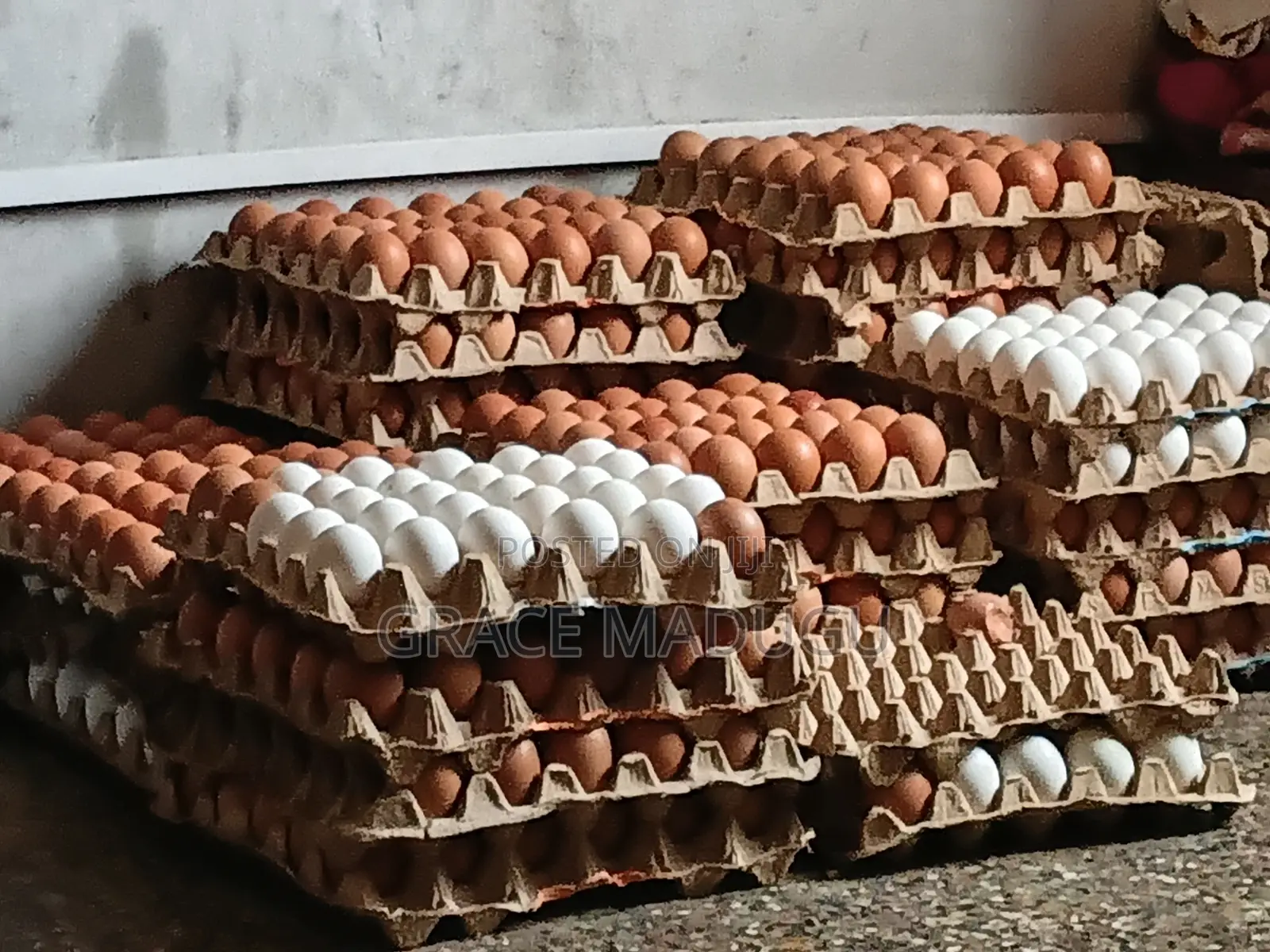 Delma's Poultry Eggs