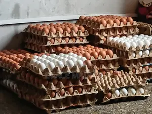 Delma's Poultry Eggs