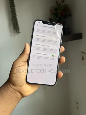 Apple iPhone 12 Pro Max 256 GB Rose Gold