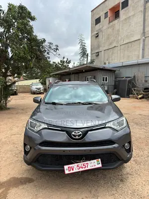 Toyota RAV4 LE AWD (2.5L 4cyl 6A) 2017 Gray