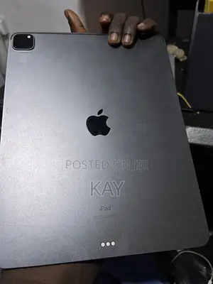 Apple iPad Pro 12.9 (2020) 256 GB Gray