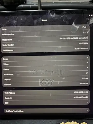 Apple iPad Pro 12.9 (2020) 256 GB Gray