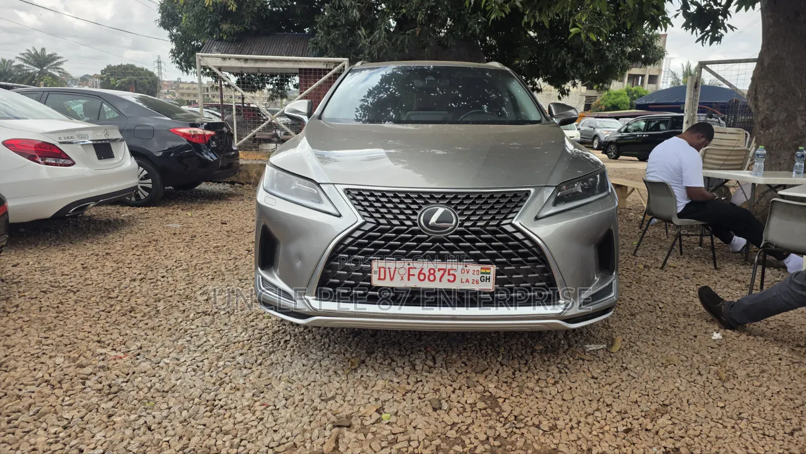 Lexus RX 300 Luxury 2022 Gray
