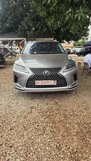 Lexus RX 300 Luxury 2022 Gray